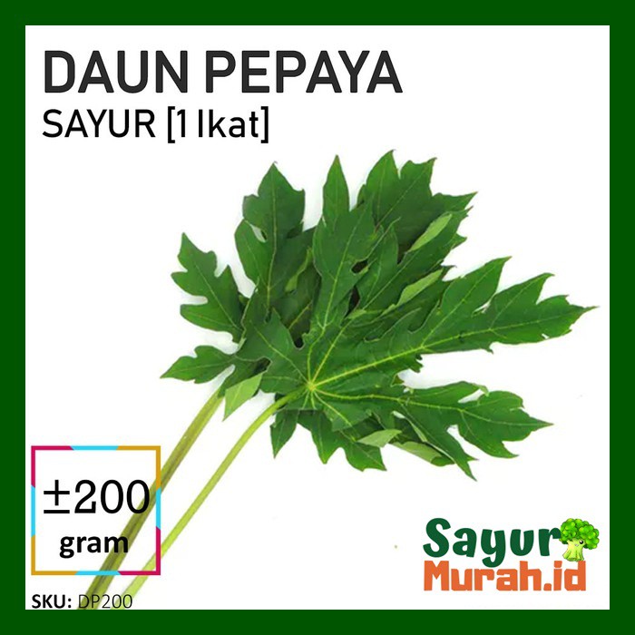 

DAUN PEPAYA SAYUR [1 Ikat ]