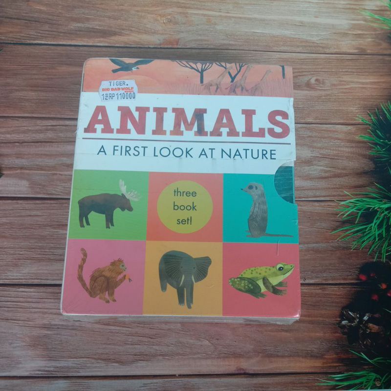 Animals A First Look At Nature three book set 3psc