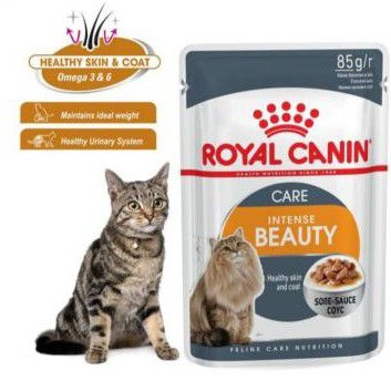 Royal Canin intense beauty gravy 85g ecer  1 sachet wetfood cat