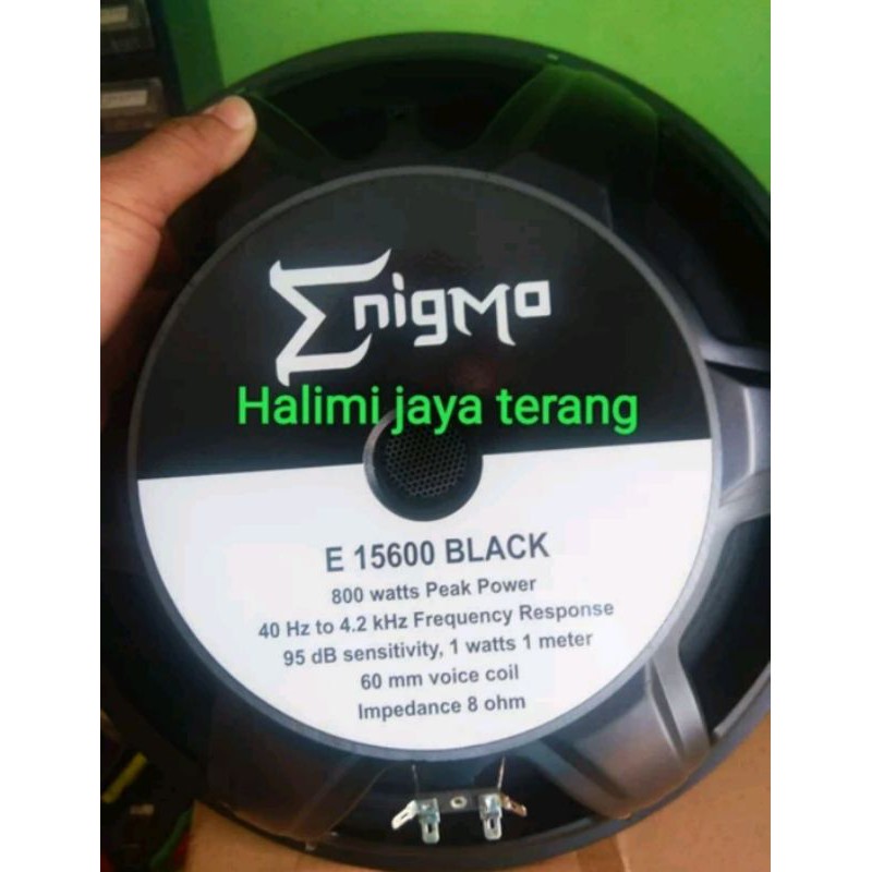 speaker 15 inch Speaker enigma 15600 karakter midlow condong kelow atau BASS
