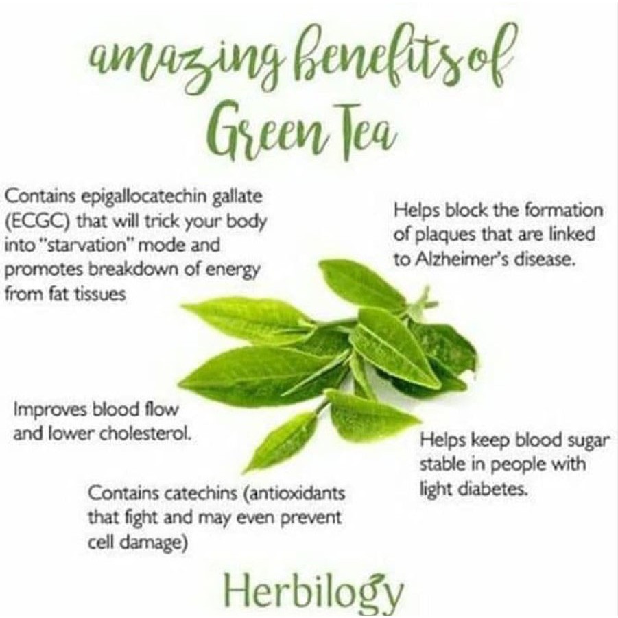 Herbilogy Green tea Extract Powder 100g