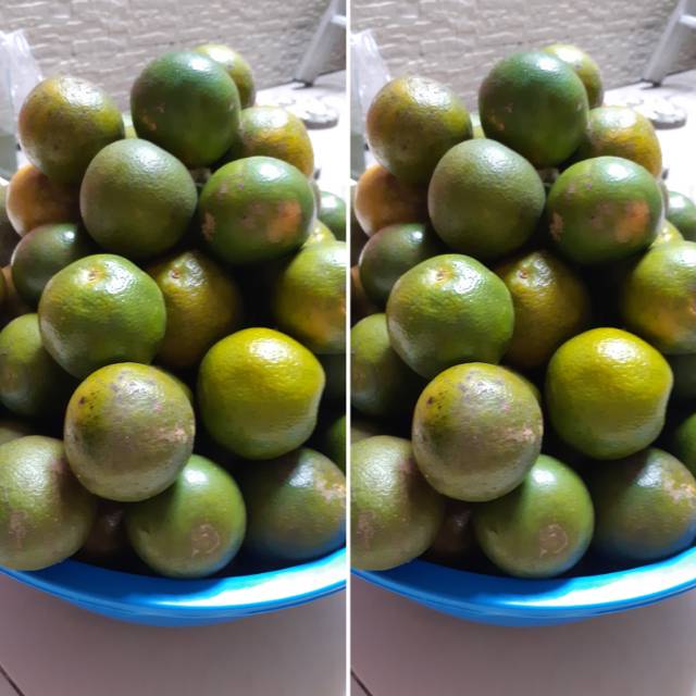 

Jeruk manis kalimantan