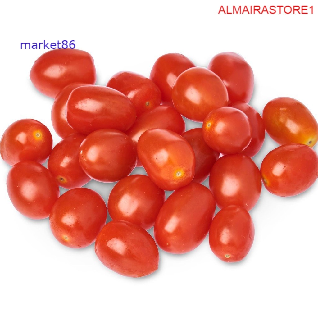 

Sayuran Segar Sayur FRESH Tomat Cherry 100 Gram - WFB .