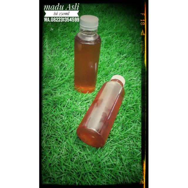 

Madu Asli/Murni tanpa campuran