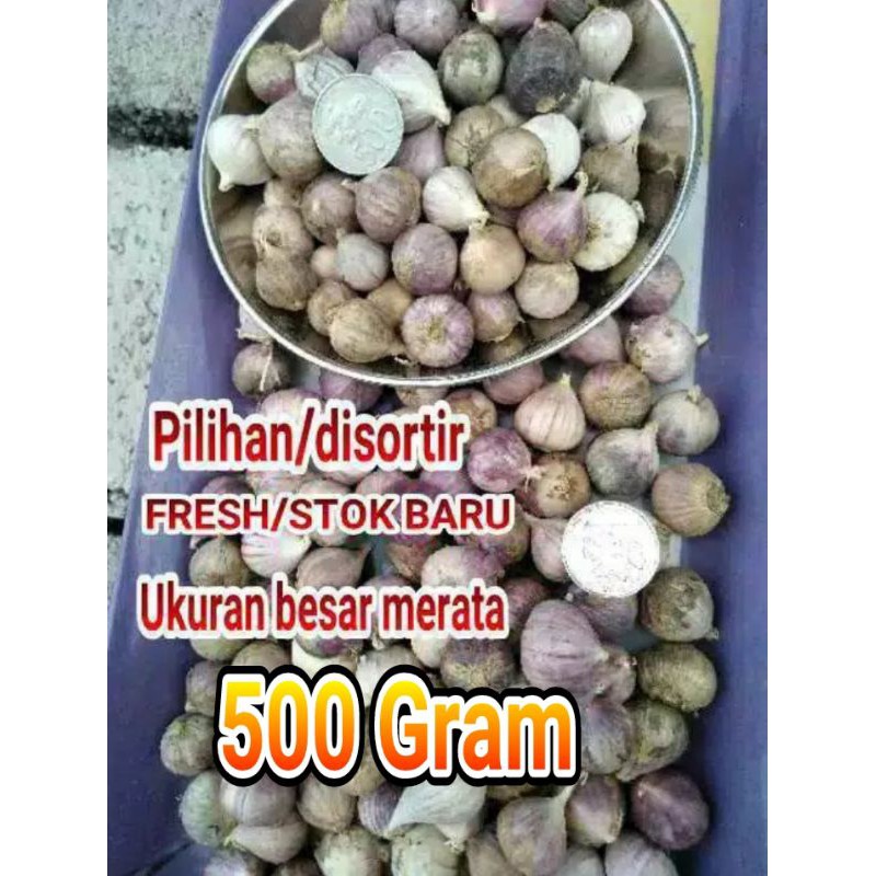 

Bawang lanang 500 gram atau bawang putih tunggal 500 gram