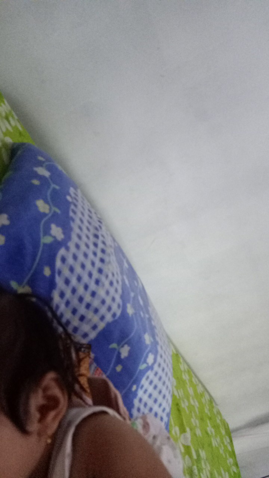 5 Biji - Benih Paprika Merah Red Star F1, Bibit Paprika F1 Cocok Disemua Dataran