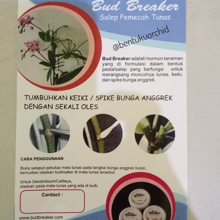 Bud Breaker Kemasan 1 gr /Salep Pemecah Tunas/Salep Anggrek