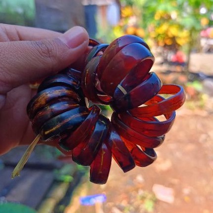 Cincin akar Bahar merah kristal
