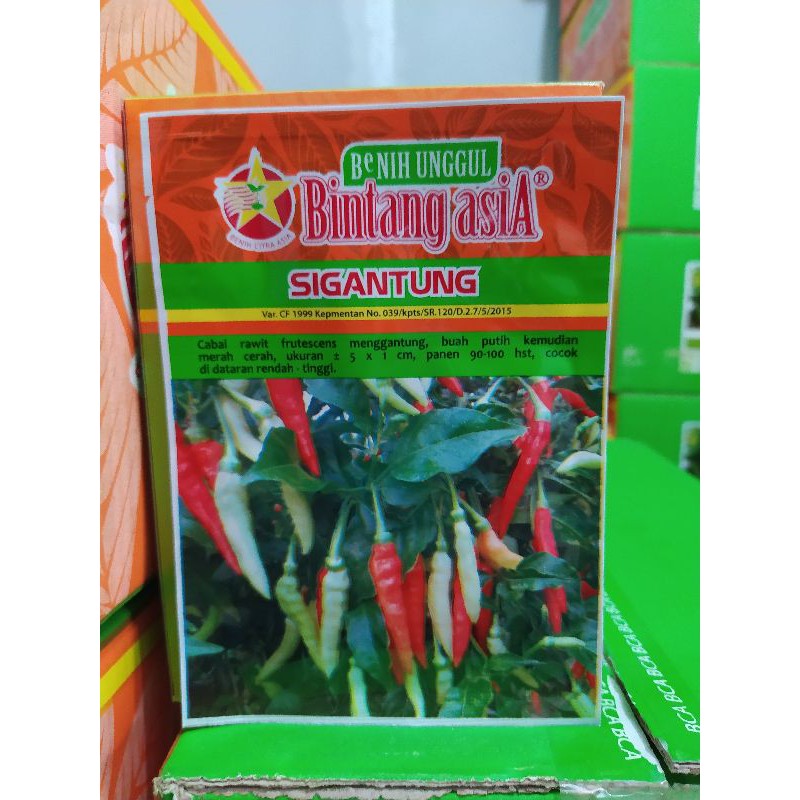 sigantung 10gr (cabai rawit merah) Bintang Asia cabai rawit merah
