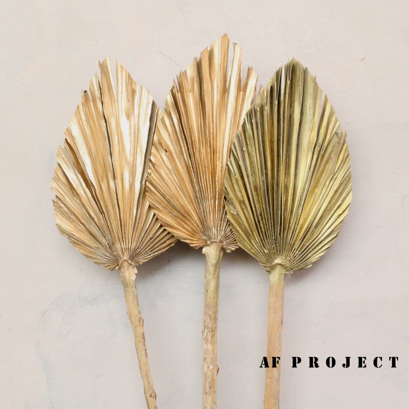 Daun Palem Kering Mini/ Daun Pelem Kering/ Palem Kering/ Palem Mini/ Bunga Kering/ Daun Kering