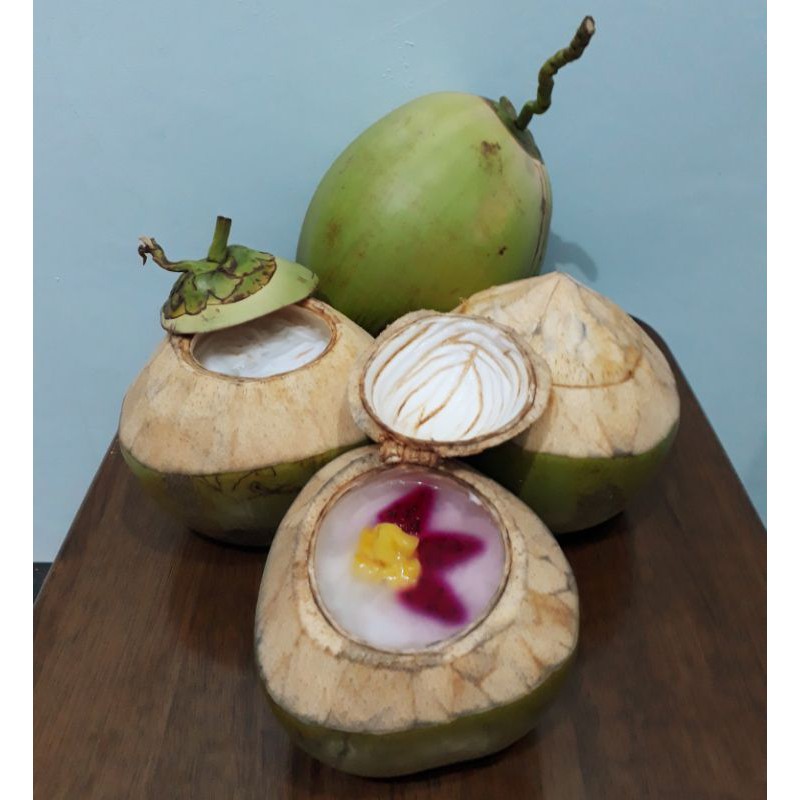 

puding kelapa mini original no toping