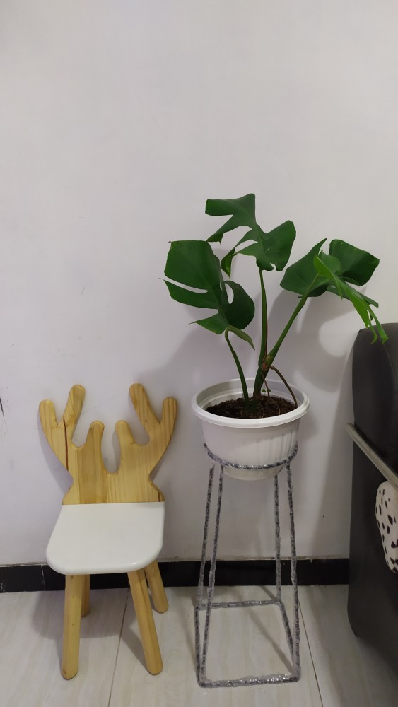 Standing pot kotak FREE POT 21 Shopee Indonesia Standing pot kotak FREE POT 21 Shopee Indonesia