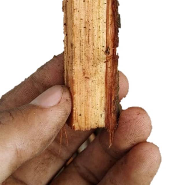 

akar bajakah / kayu bajakah 1kg