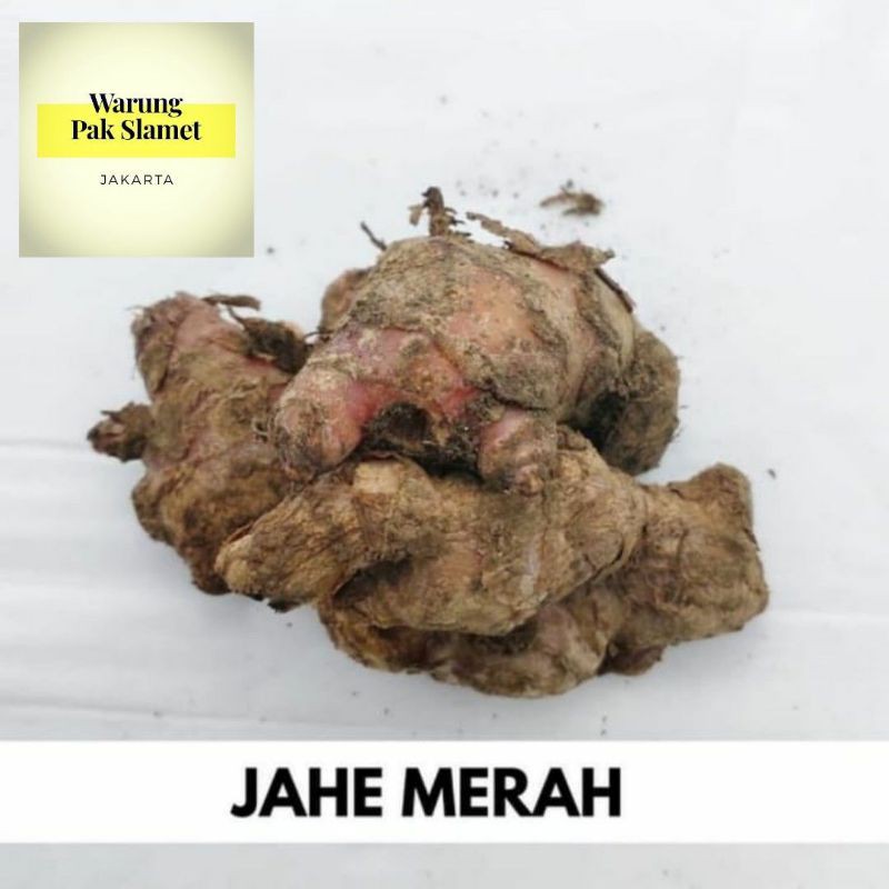 

Jahe merah segar
