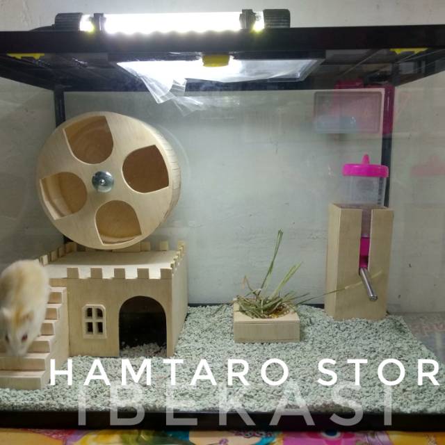 Rumah Kandang Hamster Model Istana Kincir Aquarium Hamster Unik
