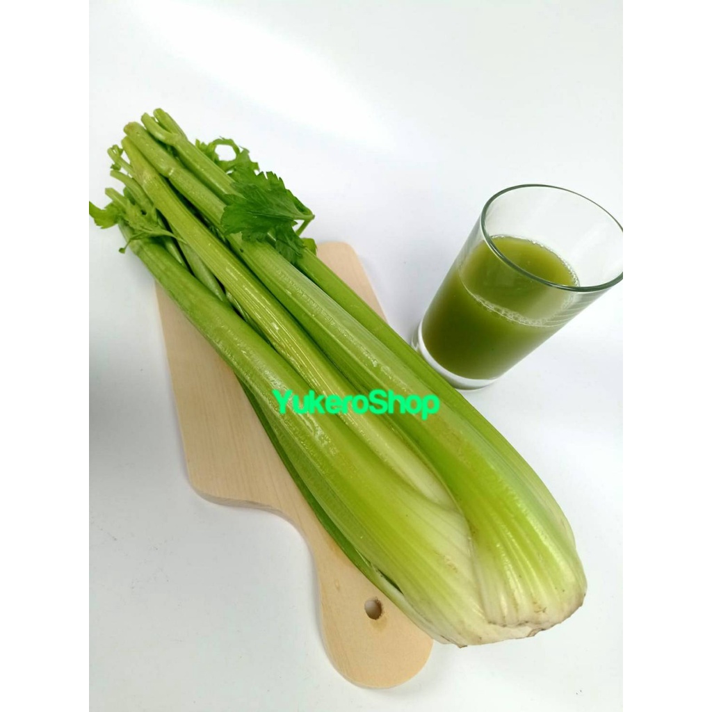 

RB Celery Stick Import / Seledri Impor Fresh per KG