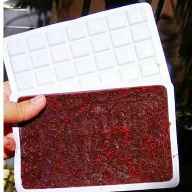 

Cacing darah beku 100gram frozen bloodworm