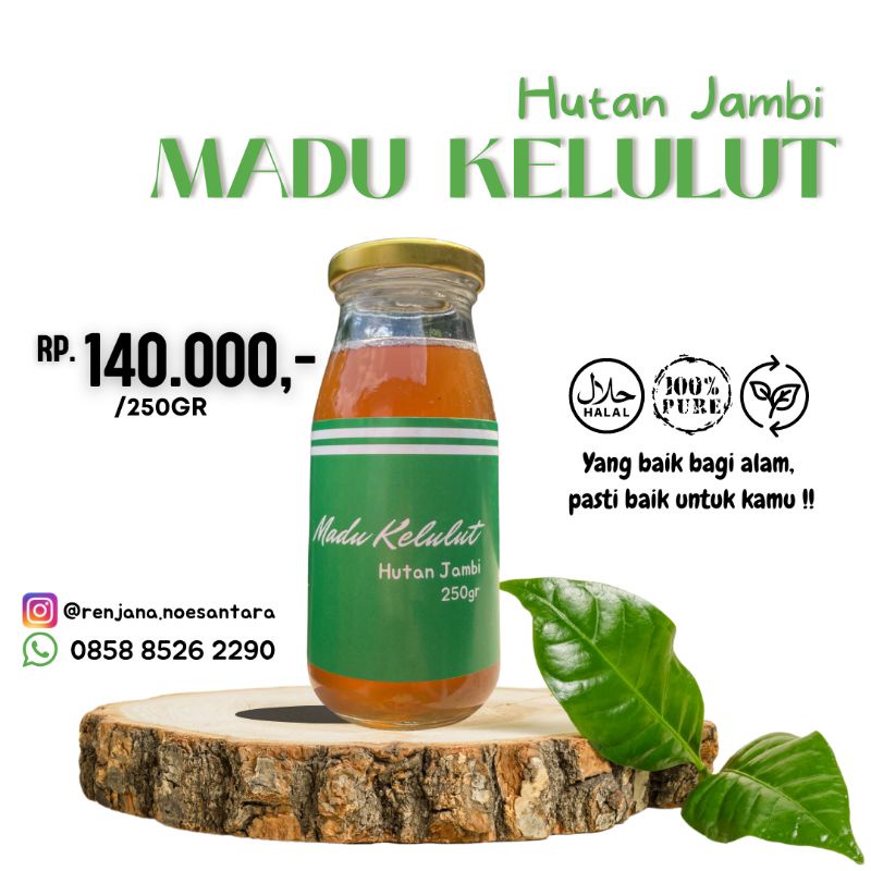 

Madu Kelulut - Madu Hutan Premium dari Jambi 250gr