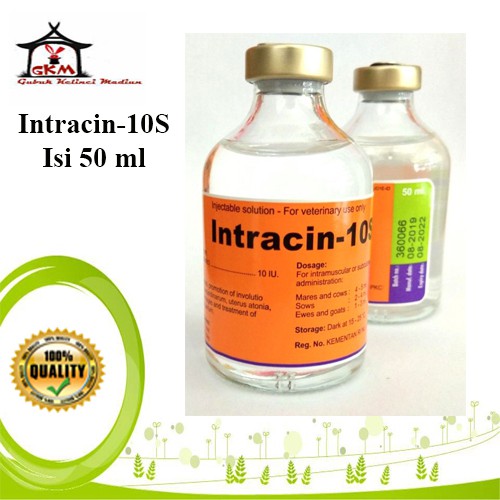 Intracin 10S 50ml Hormon Perangsang Kontraksi Uterus Kelenjar Susu Hewan