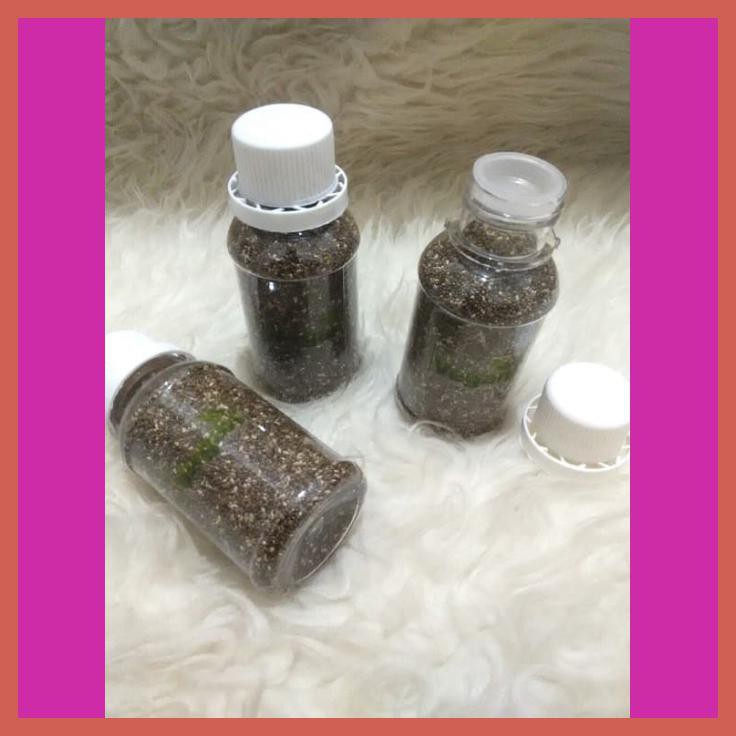 

CHIA SEED BOTOL (85 GR)