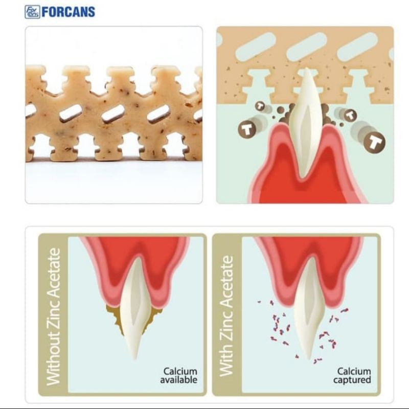 forcans denti 3 fairy dog pet chew dental korea snack anjing clean teeth