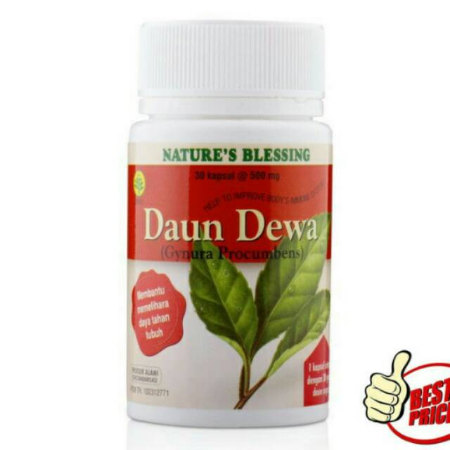 

DAUN DEWA SIDOMUNCUL