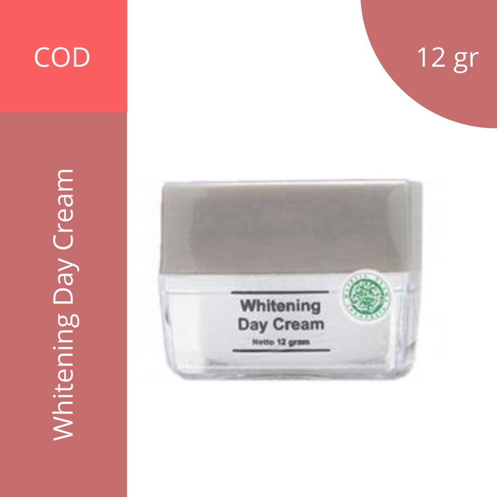 MS Glow Day Cream / BB Cream