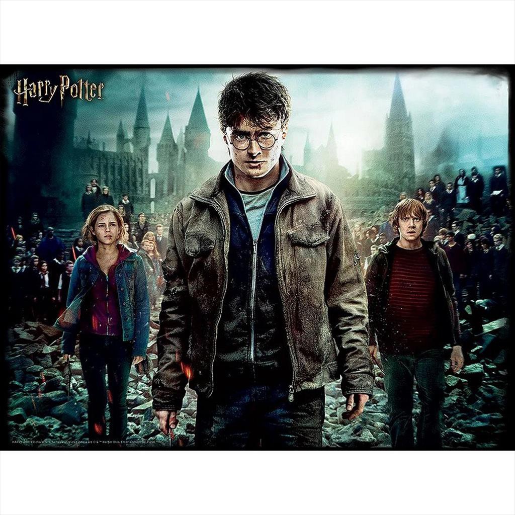 Prime 3D 32582 Harry Hermione Ron 3D Image Puzzle 300 pcs