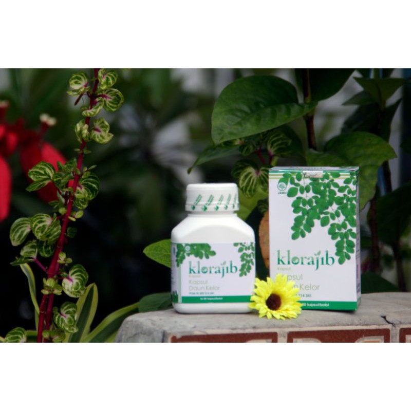 

Kapsul Daun Kelor KLORAJIB BPOM Halal Superfoods Pencegah Kanker & Antioksidan