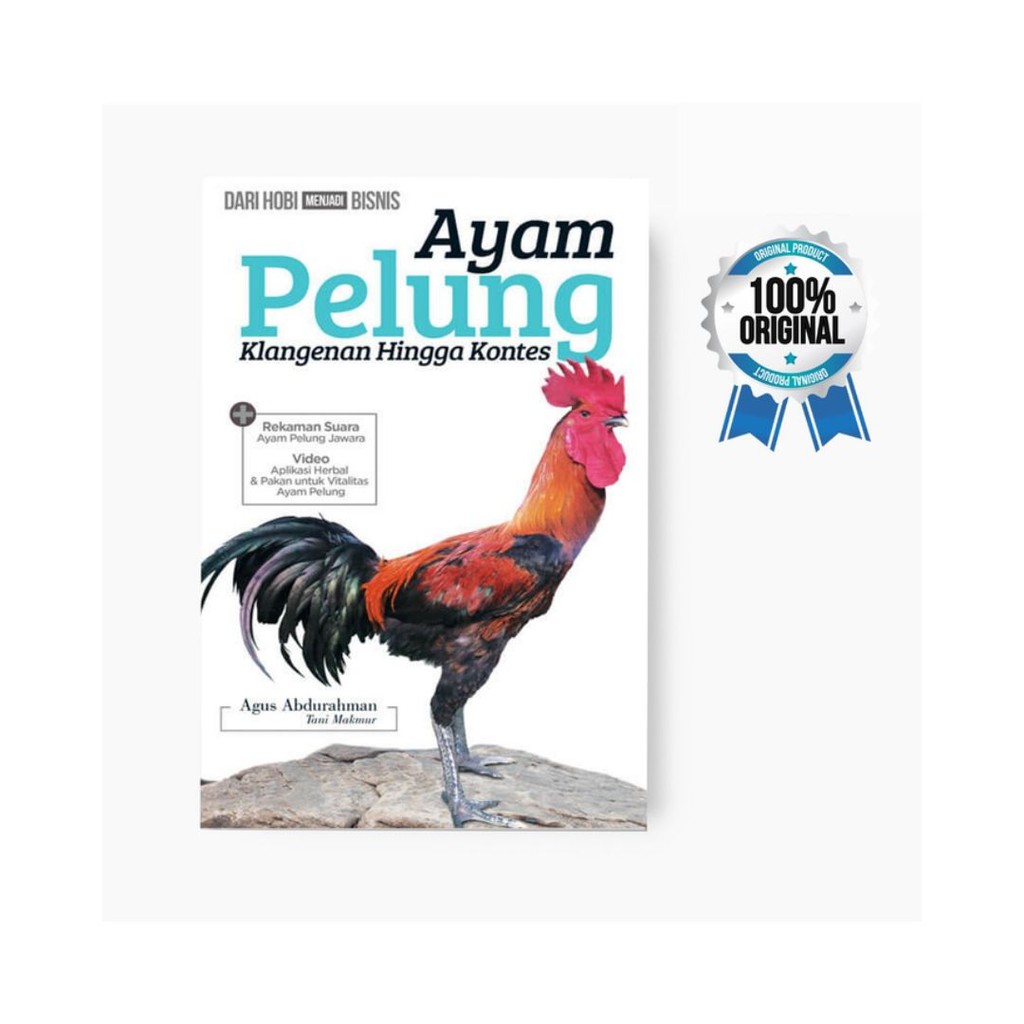 usaha ternak ayam pelung