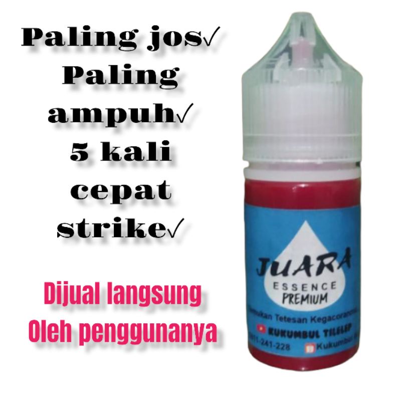 essen ikan mas paling ampuh gacor, Essen ikan mas paling bagus, Essen ikan mas paling ampuh, Essen ikan mas kualitas no 1 untuk lomba mancing ikan mas harian galapung kilo gebrus