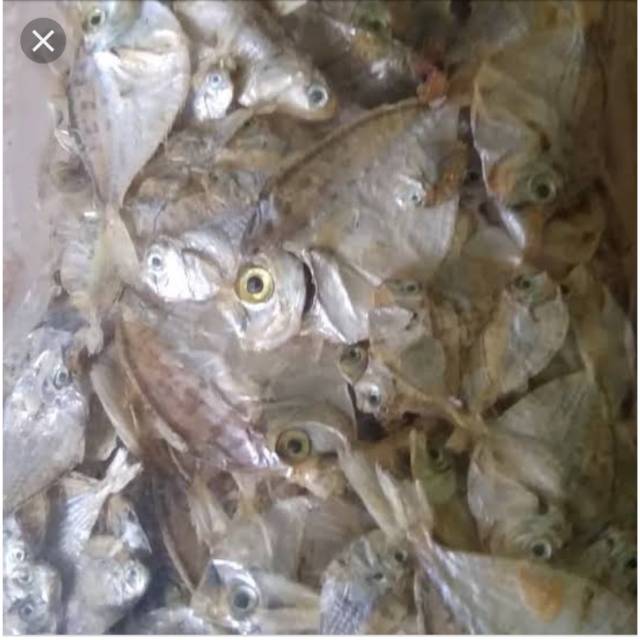 

Ikan Asin Gerih Ikan Pirik/Ikan Petek/Ikan Dodok 100 gr mentah kering