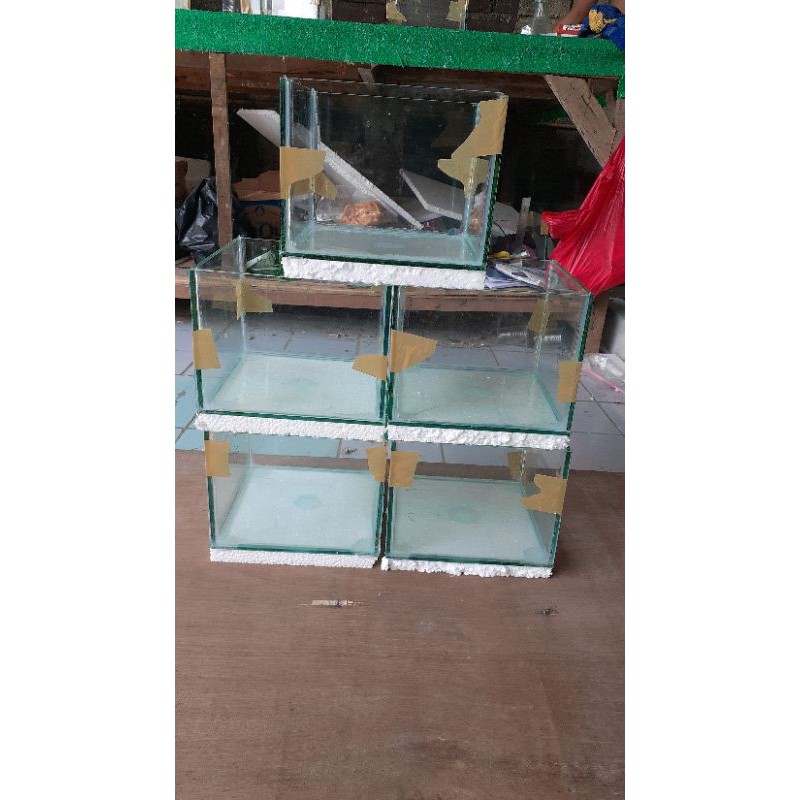 Aquarium Mini 20x20x20 Asahi