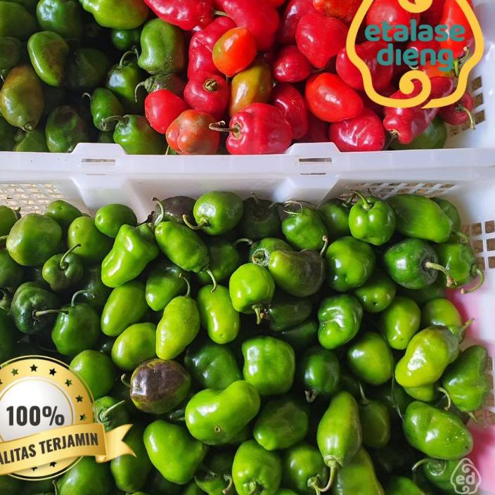 

#TREND Cabe / Cabe Gendot / Cabe Dieng / Cabe Gendut / Habanero / Cabe Fresh / Cabai / 1Kg / 0,5 Kg ♖