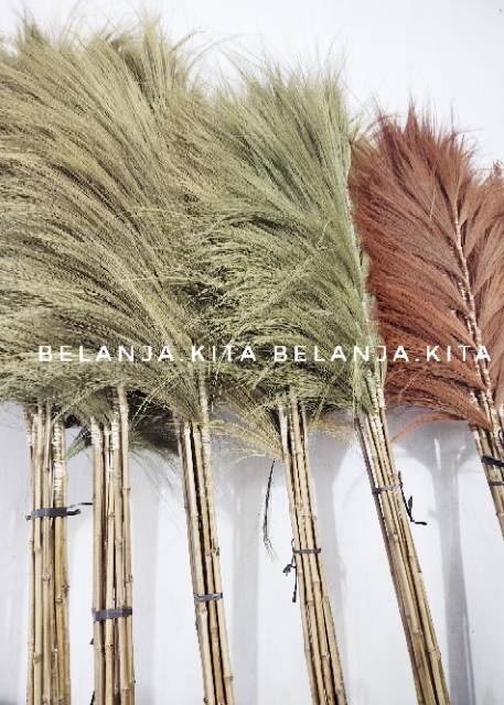 TERMURAH Rayung kering 3pcs | Home decor bunga Rayung stik -+ 2meter / stik rumbai/rayung zigzag