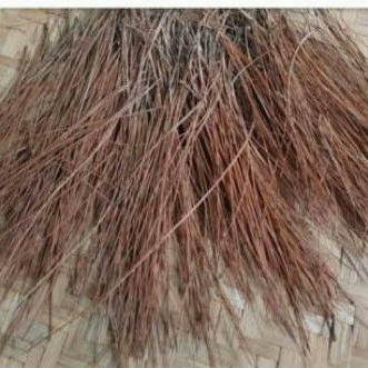 

Daun pinus kering 250 gr