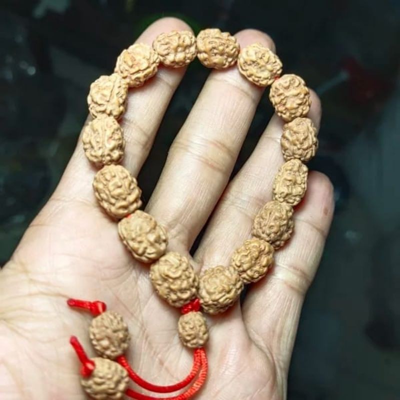 jenitri rudraksha mukhi 4