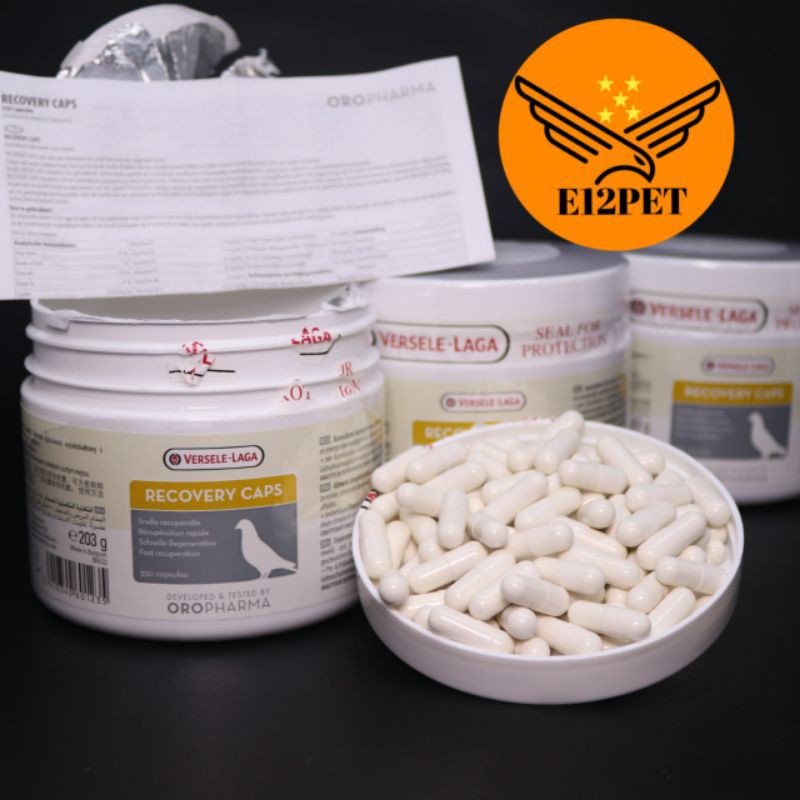 Recovery Caps 1 Capsule Recovery Sakit/Kelelahan Penerbangan Merpati