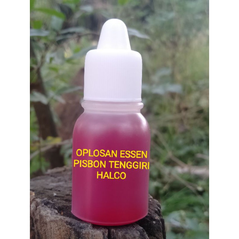 Essen oplosan pisbon tenggiri halco