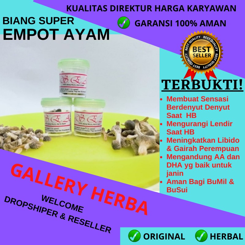 BIANG SUPER EMPOT MPOT AYAM PUTIH MADURA SEA KEPUTIHAN PERAPET MISS V KEWANITAAN ASLI ORIGINAL ALAMI