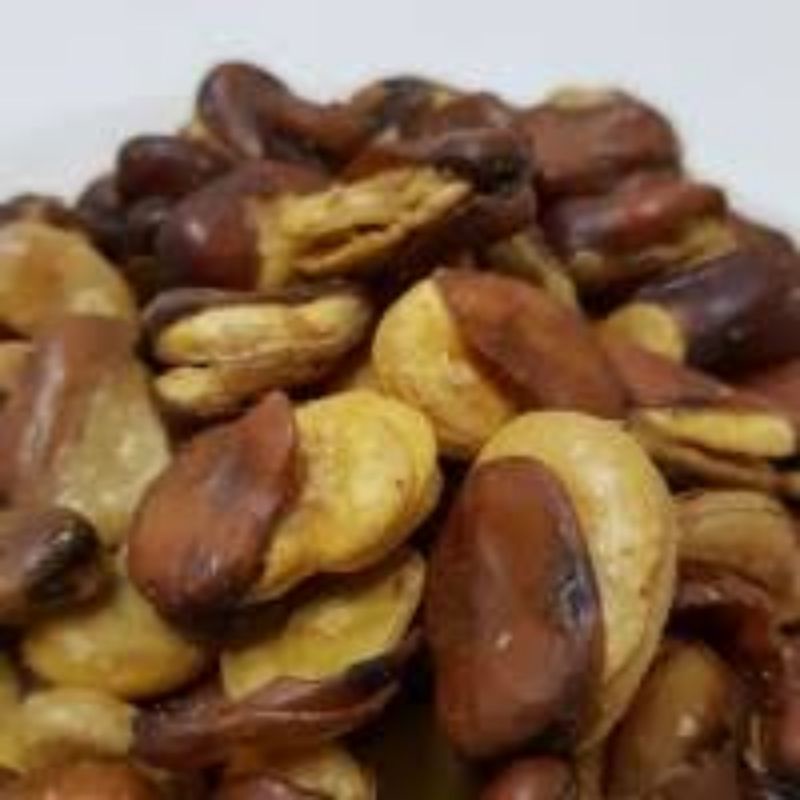 

kacang koro kulit / kacang monyet