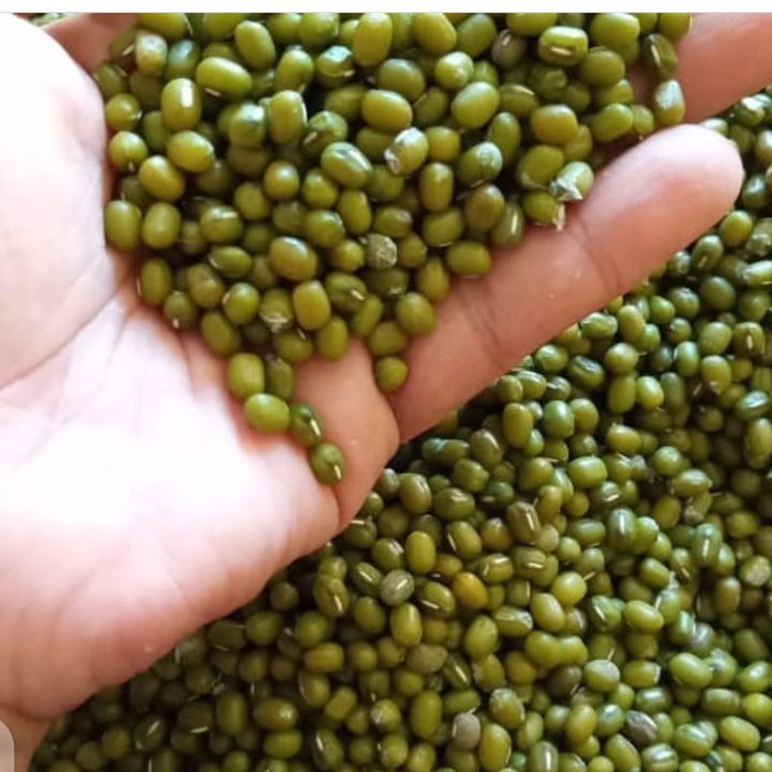 

kacang ijo nilon pasar online makassar