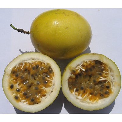 

Buah Markisa kunig fresh 500g