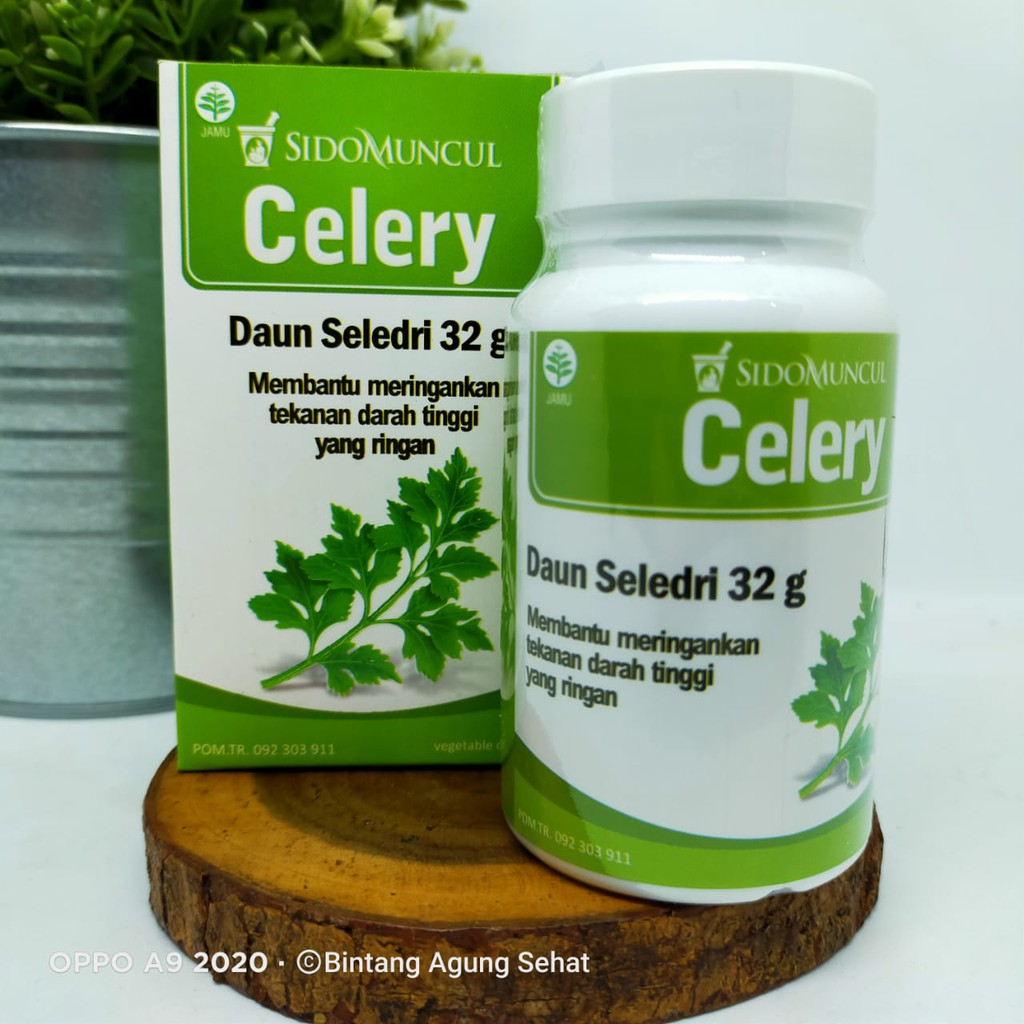 SIDOMUNCUL CELERY (OBAT HERBAL TEKANAN DARAH TINGGI)