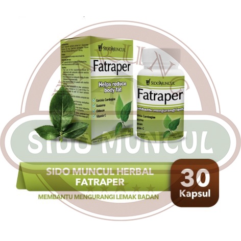 

Sido Muncul Fatraper 30 Kapsul - Mengikat Lemak Tubuh Berat Badan