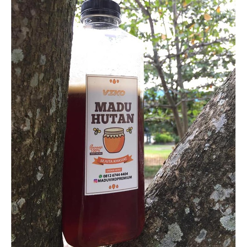 

Madu Murni Hutan Pelalawan Madu Asli Sialang Riau Terbukti Bergaransi Honey Lebah Madu Original