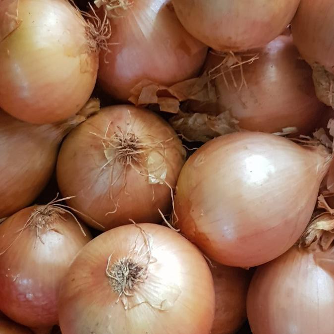 

Big Sale bawang bombai bombay new zealand kecil 1 kg Cuci Gudang Awal Tahun