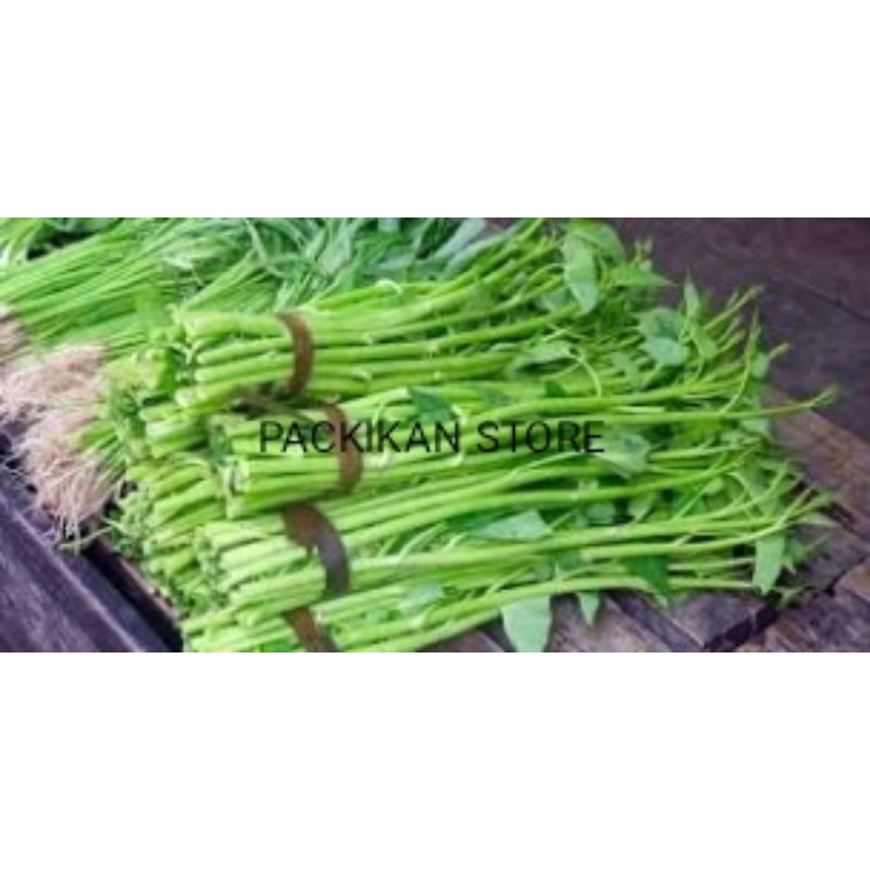 

Kangkung segar dan Bergarasi