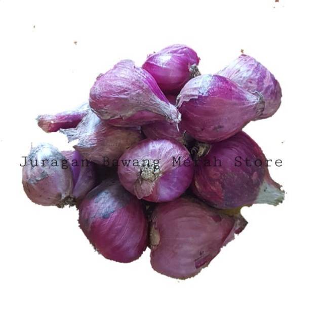 

Bawang merah brebes super besar pilihan 1 kg