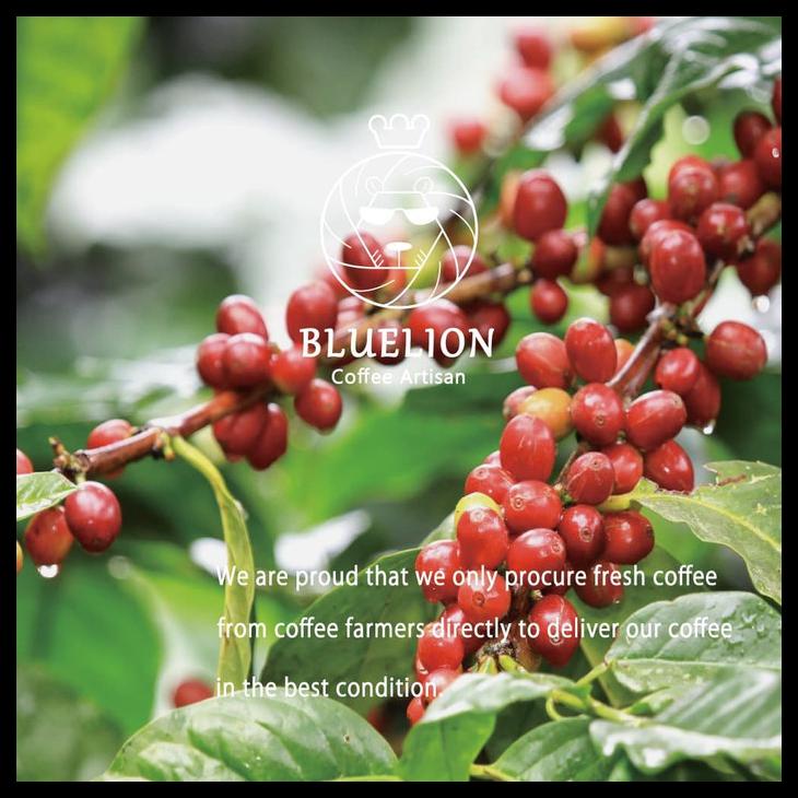 

DISKON TERBATAS !!! GUATEMALA SANTA EULALIA 1 KG - GREEN BEAN - BIJI KOPI MENTAH TERLARIS